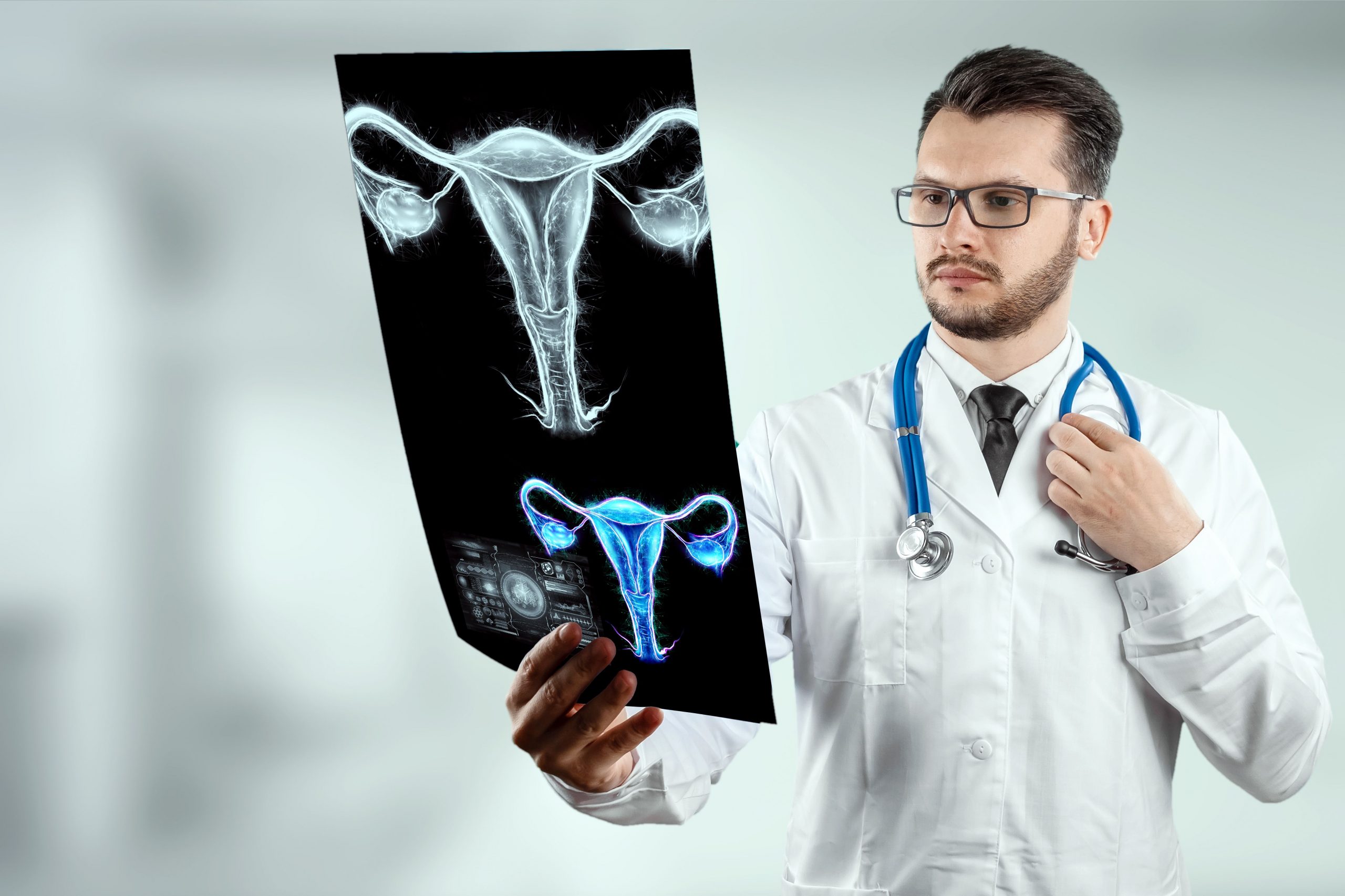 Anatomia narządów rodnych kobiety i mężczyzny – wszystko, co warto wiedzieć!