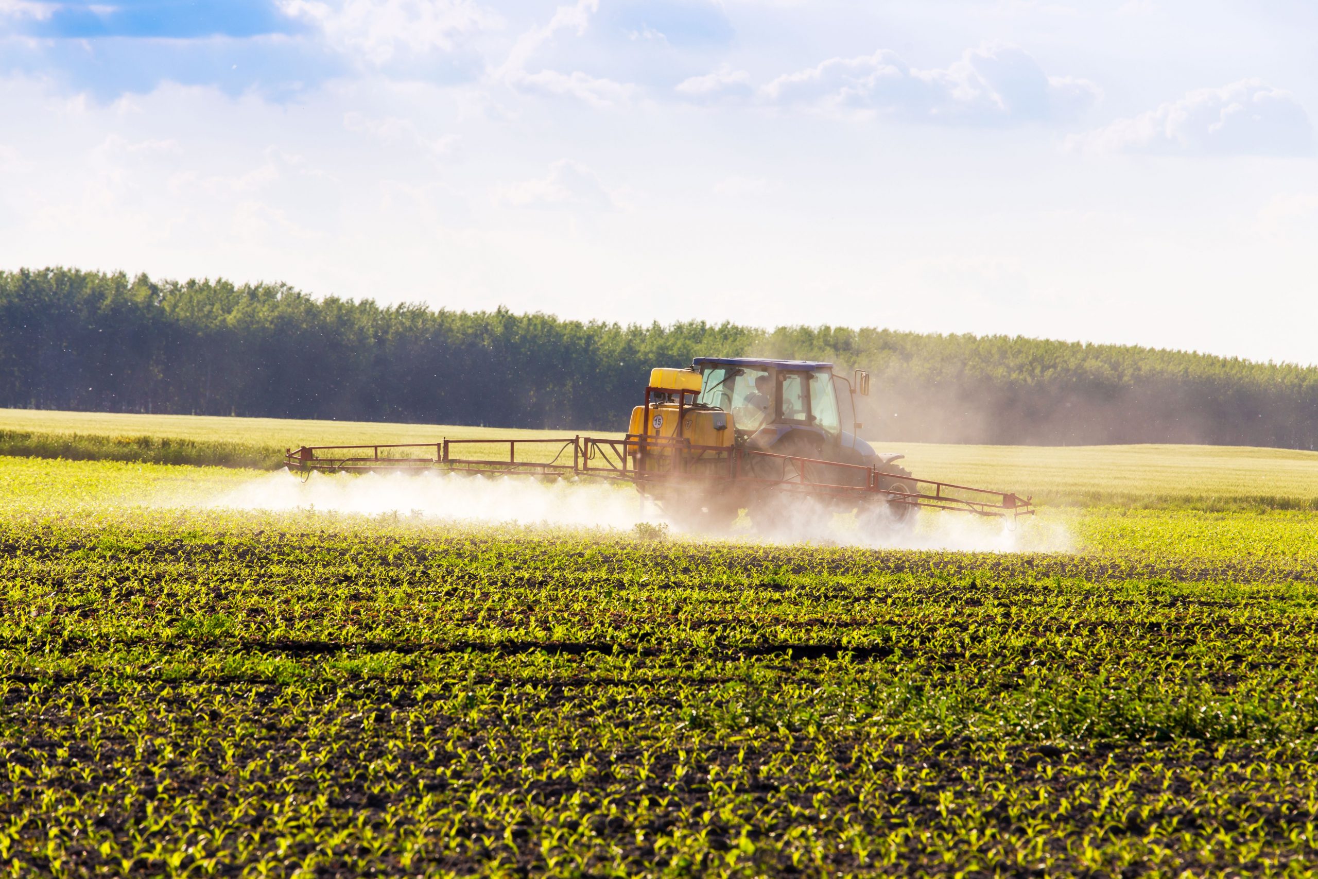 pestycydy a jakość nasienia